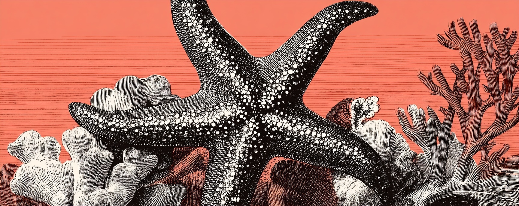 How Quadrant Charts Can Revolutionize Your Thinking